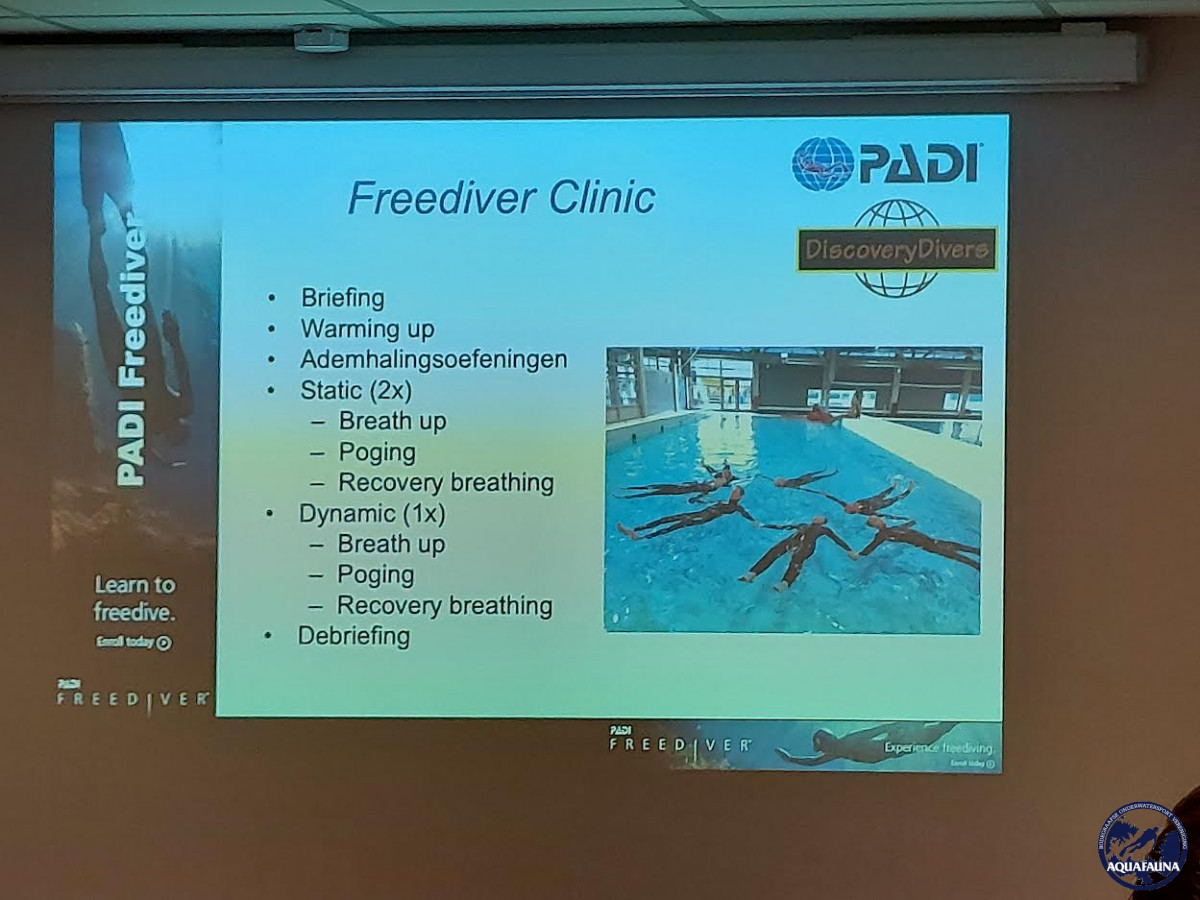Freedive clinic